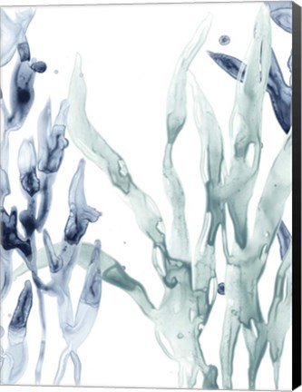 Framed Blue Kelp II Print