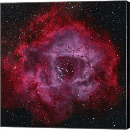 Framed Rosette Nebula Print