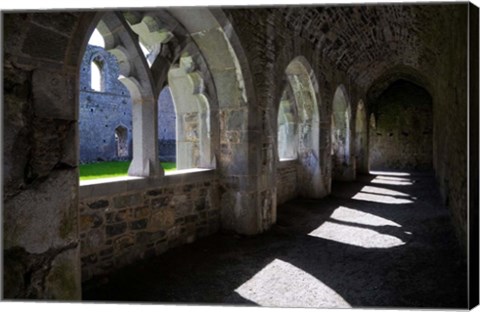 Framed Cloisters in Killmallock 12th Century Dominican Friary, Co Limerick, Ireland Print