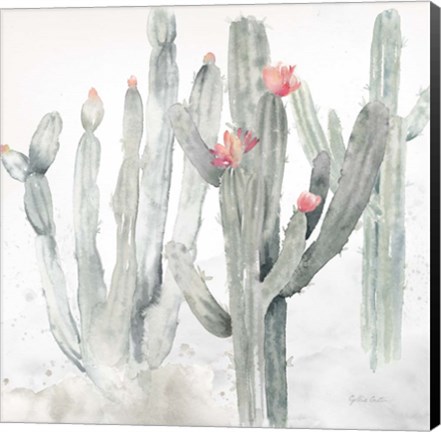 Framed Cactus Garden Gray Blush II Print