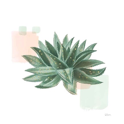 Framed Desert Color Succulent II Mint Print