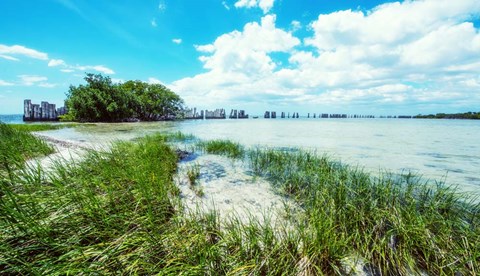 Framed Tropical Coastline Print