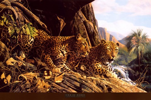Leopard Sentry Fine Art Print by Craig Bone at FulcrumGallery.com