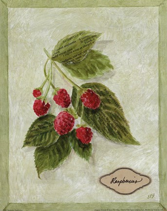 Bookplate Raspberries by Susan Eby Glass - 8" x 10" from Fulcrum Gallery