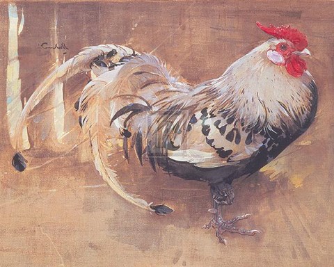 Framed Spangled Cock Print