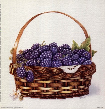 Basket Of Blackberries Fine Art Print by Bambi Papais at FulcrumGallery.com