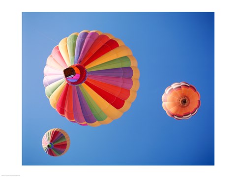 Framed Three Rainbow Colored Hot Air Balloons from Below Print