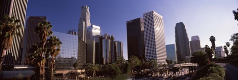 Framed Palm trees and skyscrapers in a city, City Of Los Angeles, Los Angeles County, California, USA Print