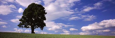 Framed Tree in a field with woman walking along with balloons, Baden-Wurttemberg, Germany Print