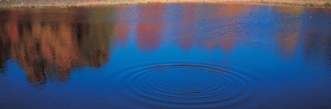 Framed Trees Reflecting in the Water, Laurentide, Quebec, Canada Print