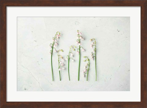 Framed May Bell Blooms Print