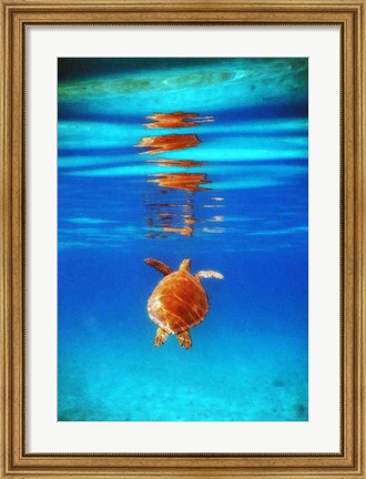 Framed View from Below II Print