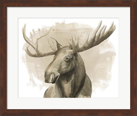 Framed Bull Moose II Print