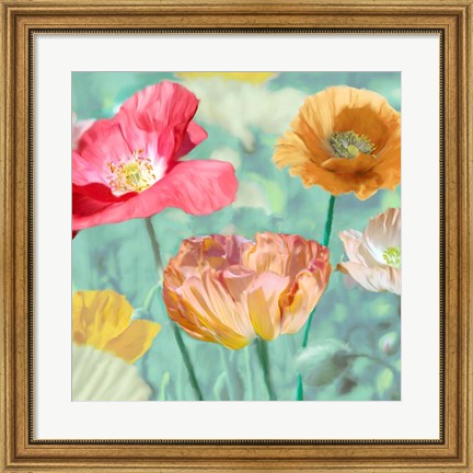 Framed Poppies in Bloom II Print