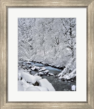 Framed Snow On Boulder Creek, Oregon Print