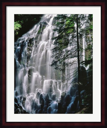 Framed Ramona Falls Landscape, Oregon Print