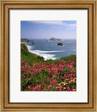 Framed Ocean Landscape Of Goat Rock And Sweet Peas, Oregon Print