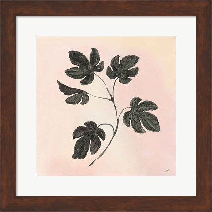 Framed Botanical Study III Blush Print