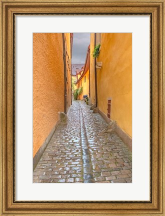 Framed Rothenberg Alley Print