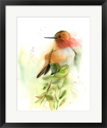 Framed Pretty Bird Print