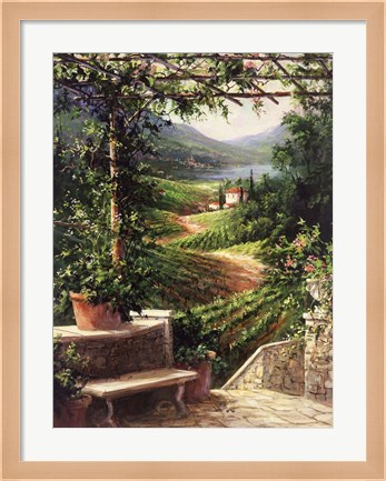 Framed Chianti Vineyard Print