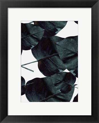 Framed Tropic Sensation Print