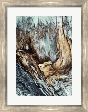 Framed Wooden Print