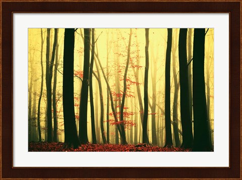Framed Red Leaves Print