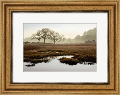 Framed Island Oak Trees Print