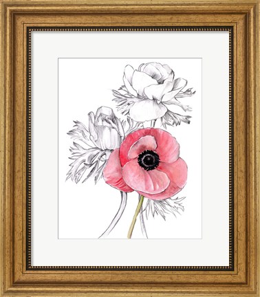 Framed Anemone by Number I Print