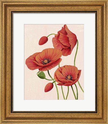 Framed Soft Coral Poppies II Print