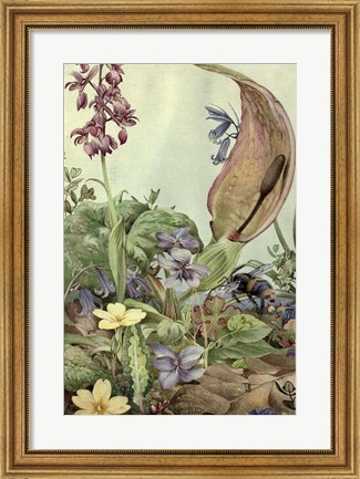 Framed Garden Fantasy II Print