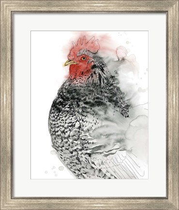Framed Plymouth Rooster I Print