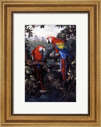 Framed Macaws Red Print