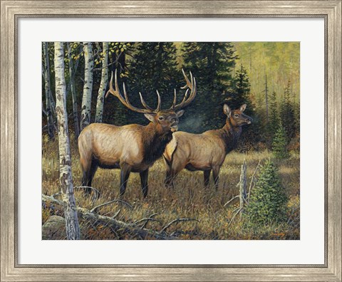 Framed Singing Wilderness Print