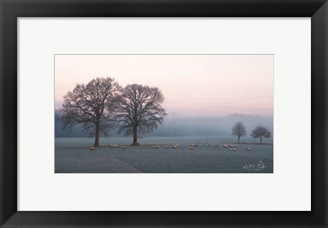 Framed Sheep on a Cold Morning Print