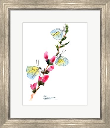 Framed Butterflies Print