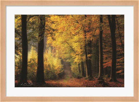Framed Autumn Mood Print