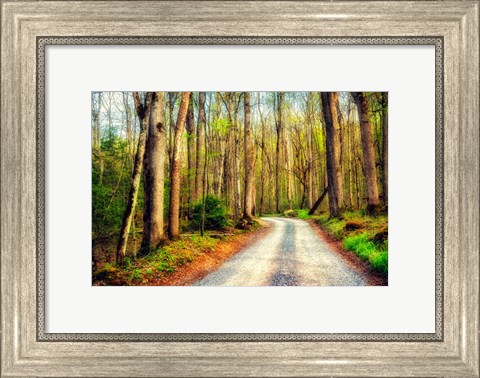 Framed Wood Path Print