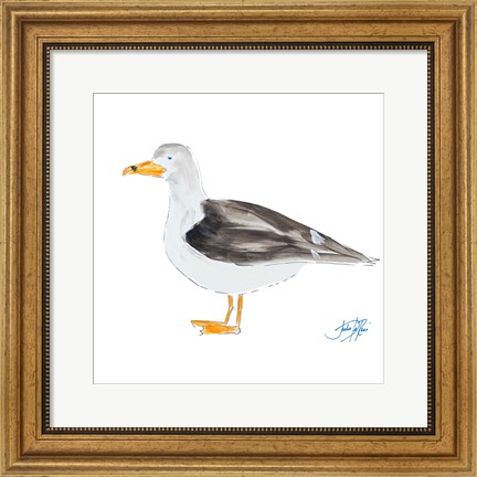 Framed Seagull on White Print