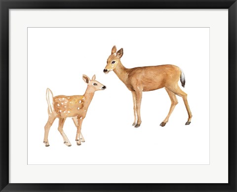 Framed Two Young Deer Print