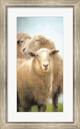 Framed Three Sheep Portrait Print