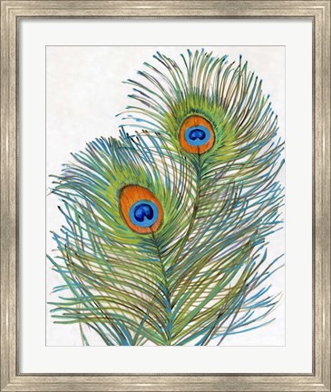 Framed Vivid Peacock Feathers I Print