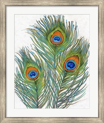 Framed Vivid Peacock Feathers II Print