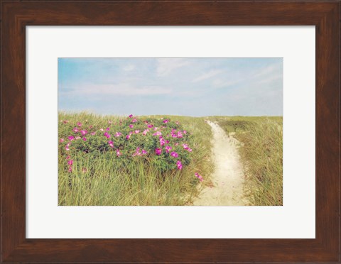Framed Beach Roses Print