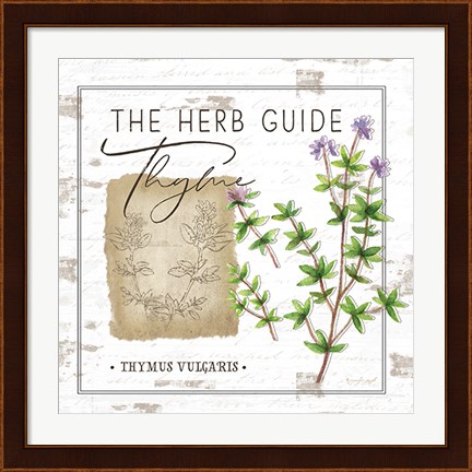 Framed Herb Guide - Thyme Print