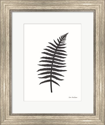 Framed Watercolor Black Plant I Print