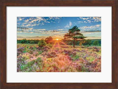 Framed Heathland Sunset Print