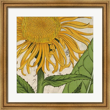 Framed Joyful Bloom I Print