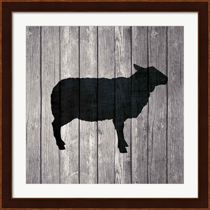 Framed Barn Sheep Print